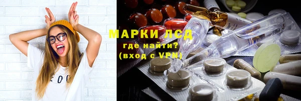 ГАЛЛЮЦИНОГЕННЫЕ ГРИБЫ Дмитриев