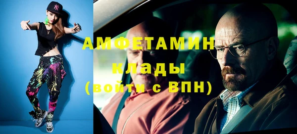 ГАЛЛЮЦИНОГЕННЫЕ ГРИБЫ Дмитриев