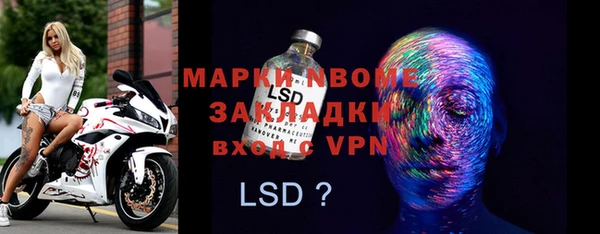 ГАЛЛЮЦИНОГЕННЫЕ ГРИБЫ Дмитриев