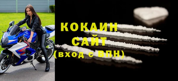 ГАЛЛЮЦИНОГЕННЫЕ ГРИБЫ Дмитриев