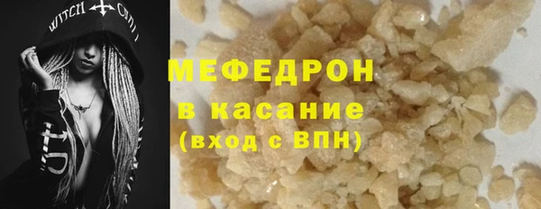 ГАЛЛЮЦИНОГЕННЫЕ ГРИБЫ Дмитриев