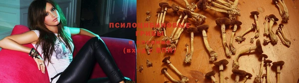 MDMA Premium VHQ Дмитров
