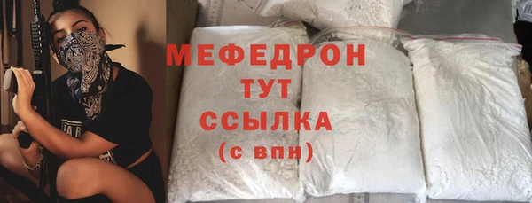 ГАЛЛЮЦИНОГЕННЫЕ ГРИБЫ Дмитриев