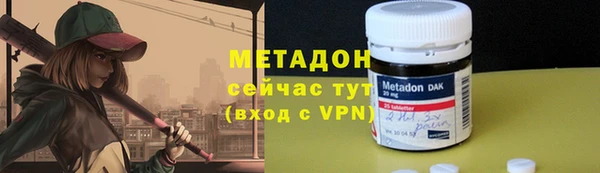 ГАЛЛЮЦИНОГЕННЫЕ ГРИБЫ Дмитриев