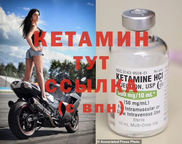 ГАЛЛЮЦИНОГЕННЫЕ ГРИБЫ Дмитриев