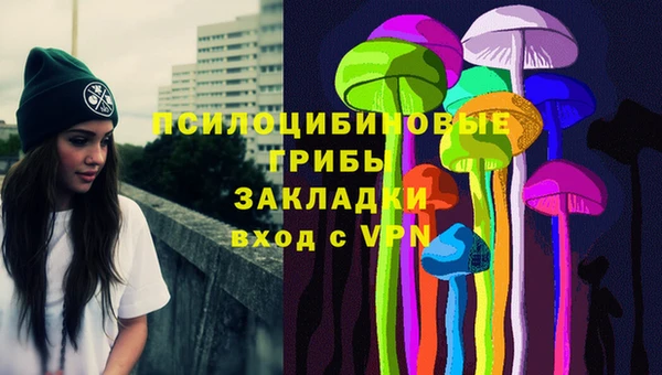 ГАЛЛЮЦИНОГЕННЫЕ ГРИБЫ Дмитриев
