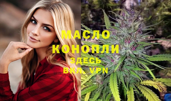 ГАЛЛЮЦИНОГЕННЫЕ ГРИБЫ Дмитриев