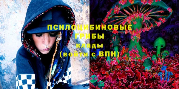 спайс Дмитровск