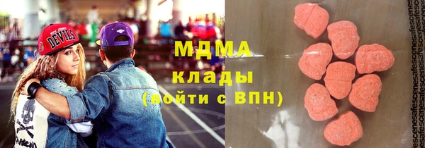 ГАЛЛЮЦИНОГЕННЫЕ ГРИБЫ Дмитриев