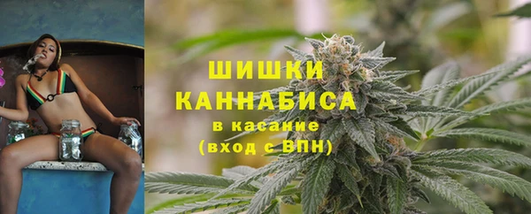 бошки Ленск