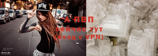 ГАЛЛЮЦИНОГЕННЫЕ ГРИБЫ Дмитриев