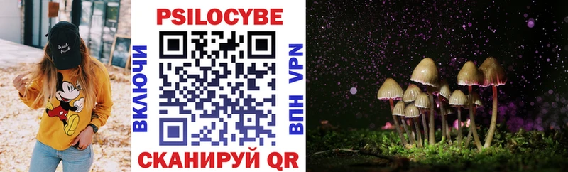 Псилоцибиновые грибы Psilocybe  Новосокольники 